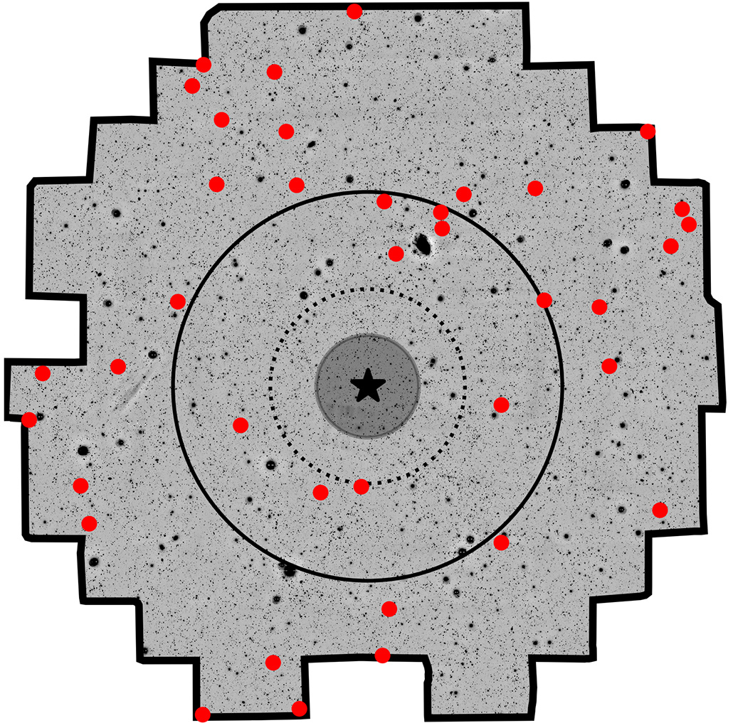 An illustration of a gray squarelike shape with red and black dots throughout it and a bullseye shape in the middle