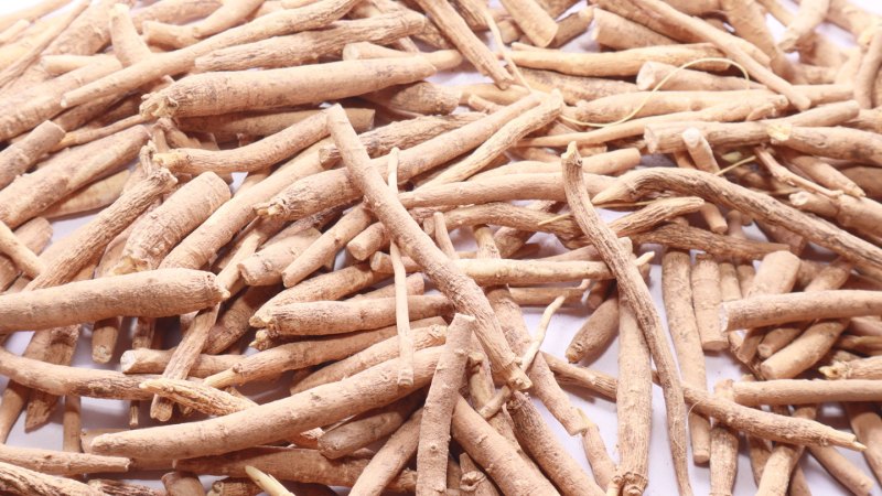 A pile of light brown roots of the ashwagandha plant on a white background